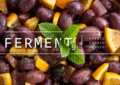 Ferment9